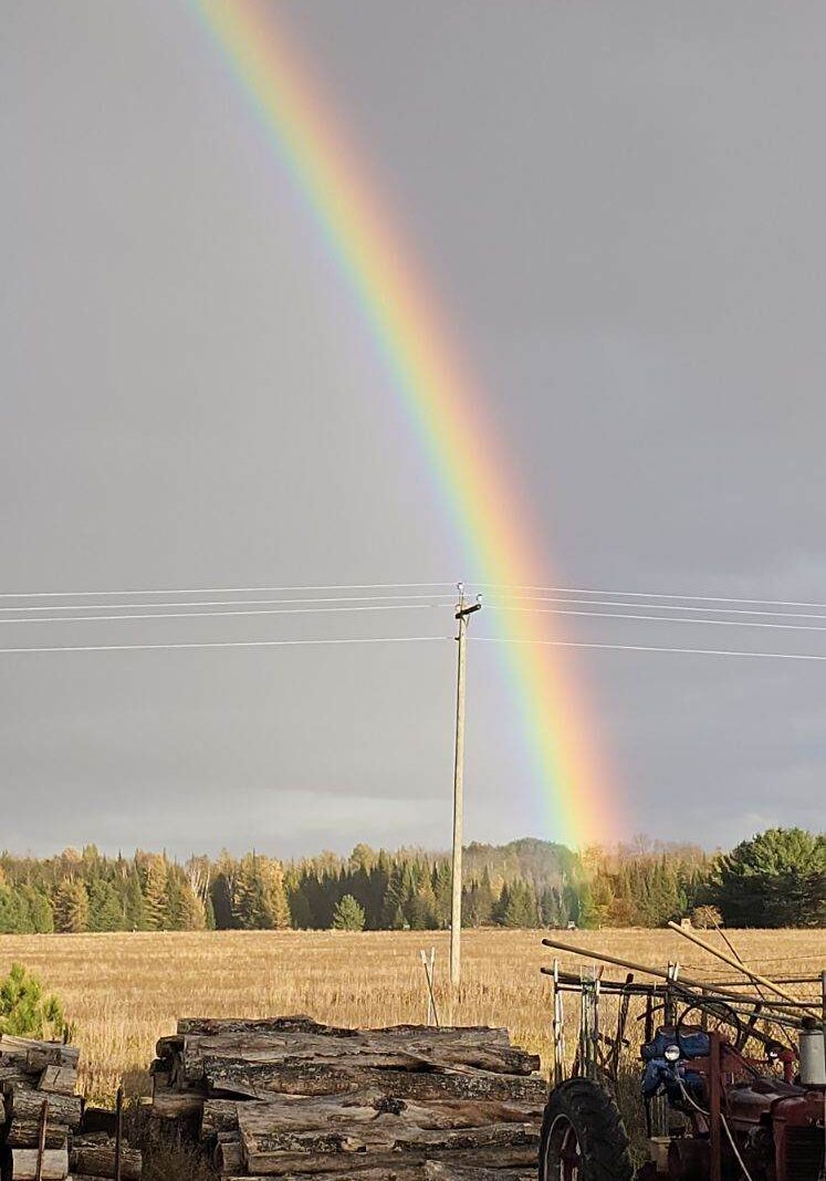 Rainbow over field with logs and tractor.