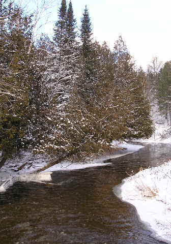 Snowy forest river scene in winter.